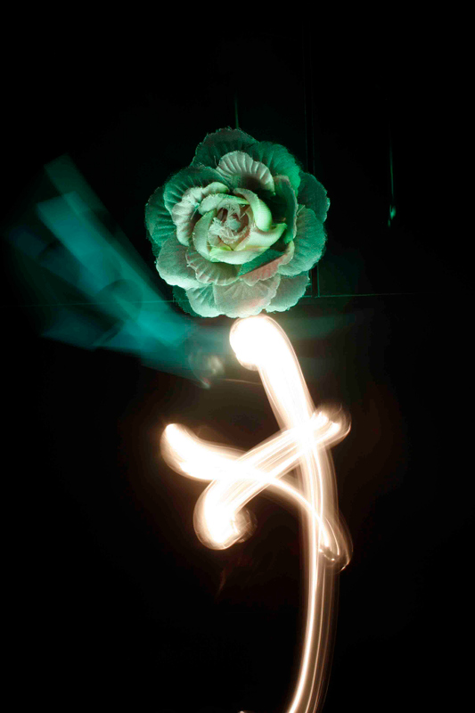 adv3delavega-light3.jpg
